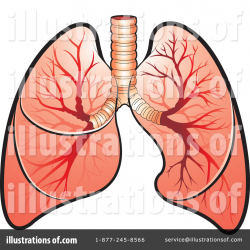 Lungs Clipart - cilpart