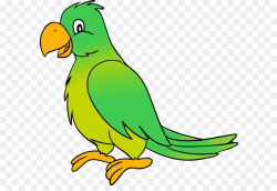 Parrot Lovebird Clip art - Guitar Cartoon Pics png download - 800 ...