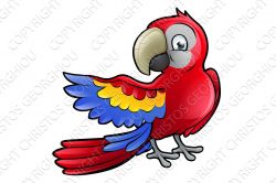 Parrot Bird Cartoon Character ~ Illustrations ~ Creative Market