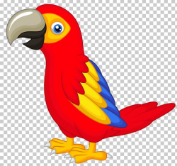 Parrot Talking Bird PNG, Clipart, Animals, Beak, Bird ...