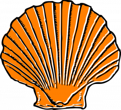 Orange Seashell Clip Art at Clker.com - vector clip art online ...