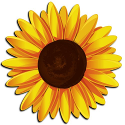 Sunflower Cartoon - Clip Art Library