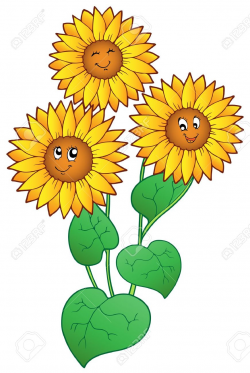 Sunflower Cartoon Drawing Cartoon Clipart Sunflower - Pencil And In ...