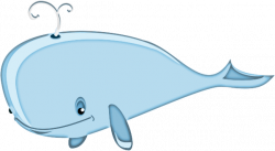 Cartoon Whale Clipart transparent PNG - StickPNG