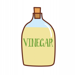 Vinegar 7/21/2017 — three widsom