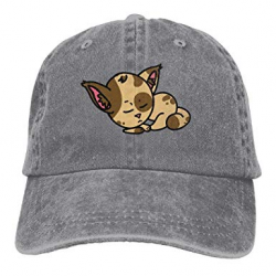 CDHLBNG Men and Women Cat Clipart Vintage Jeans Baseball Cap at ...