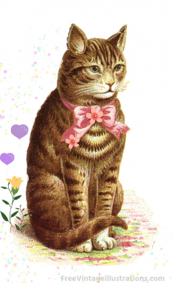 Free Vintage Clipart of a House Cat with Bow | This Victoria… | Flickr