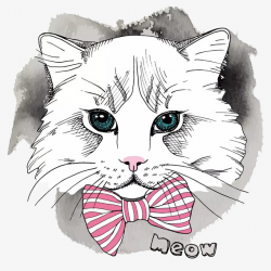 Bow Cat, Bow Tie, Cat, Cartoon PNG Image and Clipart for Free Download