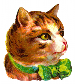 Antique Images: Victorian Antique Free Cat Clip Art Pet Tabby ...