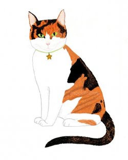 Calico Cat Art - 8x10 print - Pen and Ink, Black, Orange, White, Cat ...
