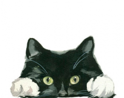Cat PNG Watercolor Illustration Clipart Transparent Background