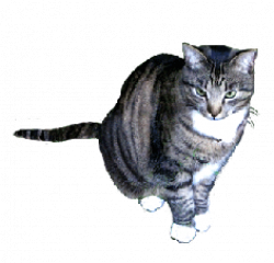 Cat Clip Art, Cat Sketches, Cat Drawings & Graphics