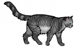 28+ Collection of Warrior Cat Clipart | High quality, free cliparts ...
