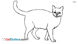 Free Clipart Cat Outline @ Catoutline.com