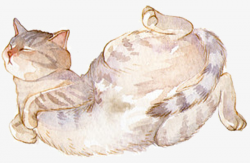 Cute Watercolor Cat Shape, Animal, Kitty, Cat PNG Image and Clipart ...