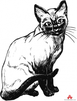 Siamese Cat Stencil Clipart | Free Clipart Design Download
