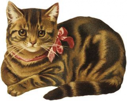 454 best Vintage Illustrations ~ Cats images on Pinterest | Vintage ...