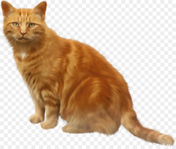 Tabby cat Kitten Clip art - kitty png download - 1264*1063 - Free ...
