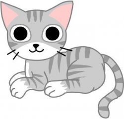 Clip art of a grey and white pet tabby cat kitten with large ...
