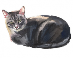 Grey Tabby Cat Clipart Hand Painted Watercolor Digital Print