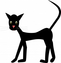 Transparent cat clipart - Clip Art Library