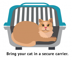 PALS Monthly Clinic for Cat Spay/Neuter | Pet Prevent a Litter (PALS ...