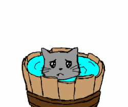 Bath time for kitty!