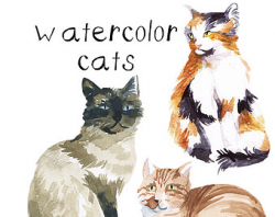 Cat clip art | Etsy
