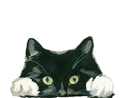 Black and White Tuxedo Cat Clipart Hand Painted Watercolor