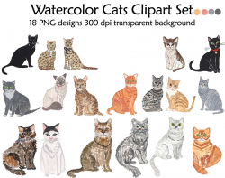 Domestic Animal clipart, Cat clipart ~ Illustrations ~ Creative Market