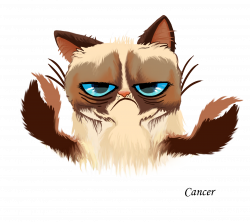 Grumpy Cat Horoscopes – Vitas Grāvelsiņas Portfolio