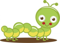 41 best Bugs: Caterpillar images on Pinterest | Insects, Butterflies ...