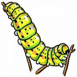 Caterpillar clipart caterpillar butterfly - Pencil and in color ...