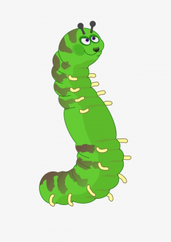 Cartoon Caterpillar, Reptile, Insect, Millipede PNG Image and ...