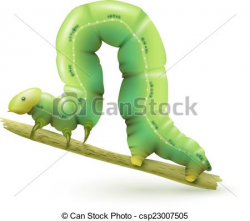 Worm clipart realistic - Pencil and in color worm clipart realistic
