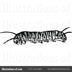Caterpillar Clipart #1113238 - Illustration by Prawny Vintage