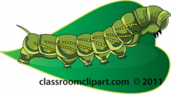Insect Clipart Clipart- caterpillar-on-leaf - Classroom Clipart