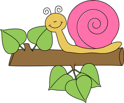 Snail Clip Art - Snail Images