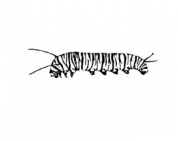 Caterpillar stamp | Etsy
