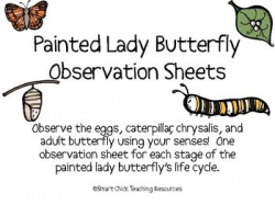 81 best Bugs! images on Pinterest | Insects, School stuff and Bugs