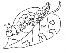 Very Hungry Caterpillar Drawing at GetDrawings.com | Free for ...