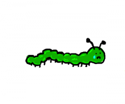 Sweaty Caterpillar