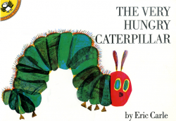 Kindergarten A Very Hungry Caterpillar - Lessons - Tes Teach