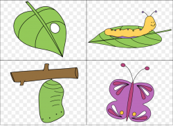 Butterfly Biological life cycle Caterpillar Clip art - Simple Life ...