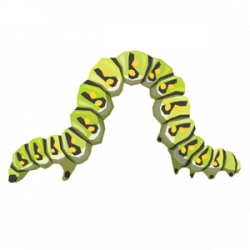Caterpillar PNG Transparent Images | PNG All