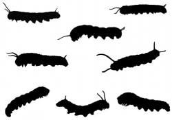 Caterpillar Silhouette Vector Graphics | Vector graphics ...
