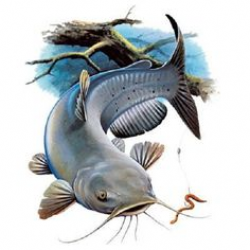 Vector Clip Art of Salmon fish - Jumping salmon fish in retro ...