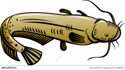 Catfish Illustration 10308050 - Megapixl