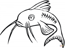 Catfish 16 coloring page | Free Printable Coloring Pages