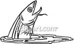 Black and White Catfish Jumping Out of Water - Royalty Free Clipart ...